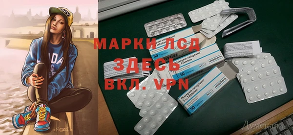 гидра Володарск