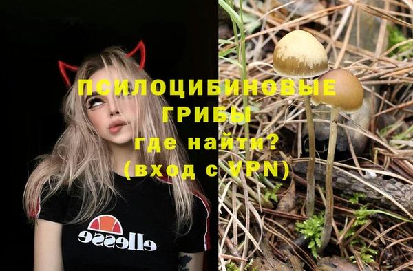 бутират Покров