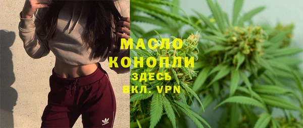 гидра Володарск